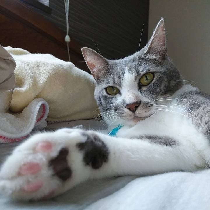 B57e0ee8 a527 4094 bbaa 408da1a31ba7 1592902006129