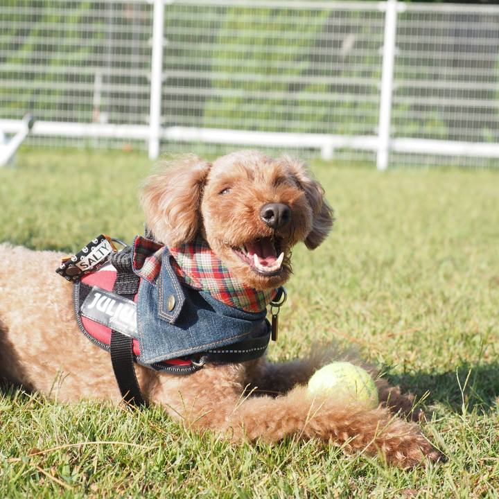 B57e2feb 6260 4747 b0b0 c6f8d0c94196 1571316213424