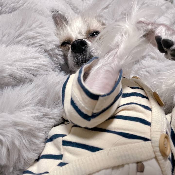 B57e4dee 95e8 4169 a094 e37ed947dcae 1763548164240