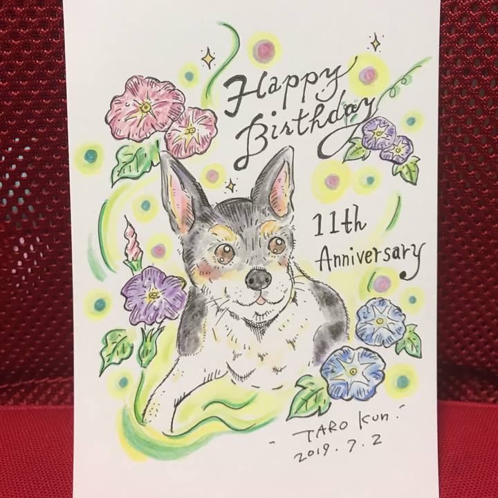 B57e840b f34c 4274 89b3 d1f16d4cb686 1562094723314