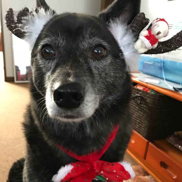 B57e90aa adc6 4194 8cf3 2b7773d4f639 1514074233305