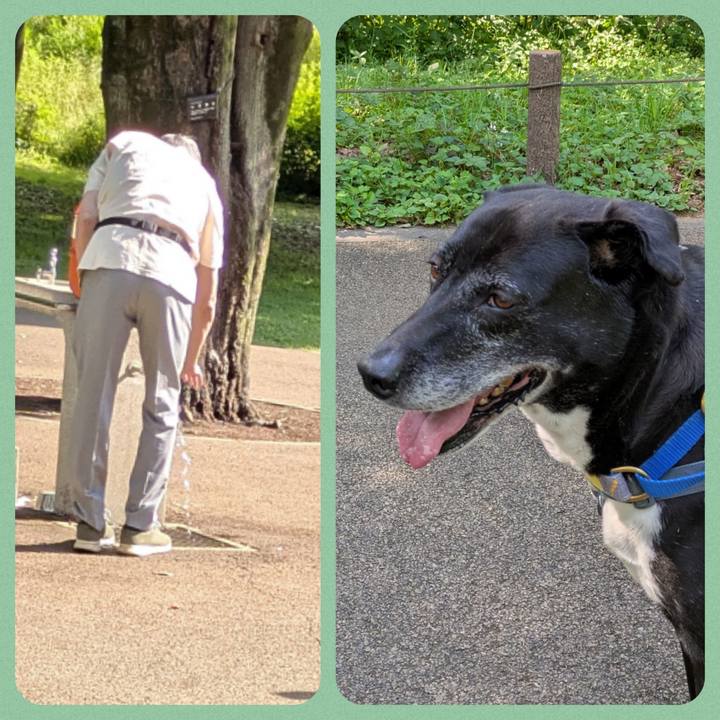 B57ebdff 5010 406b b65b 24f1aba5880d 1749171410496