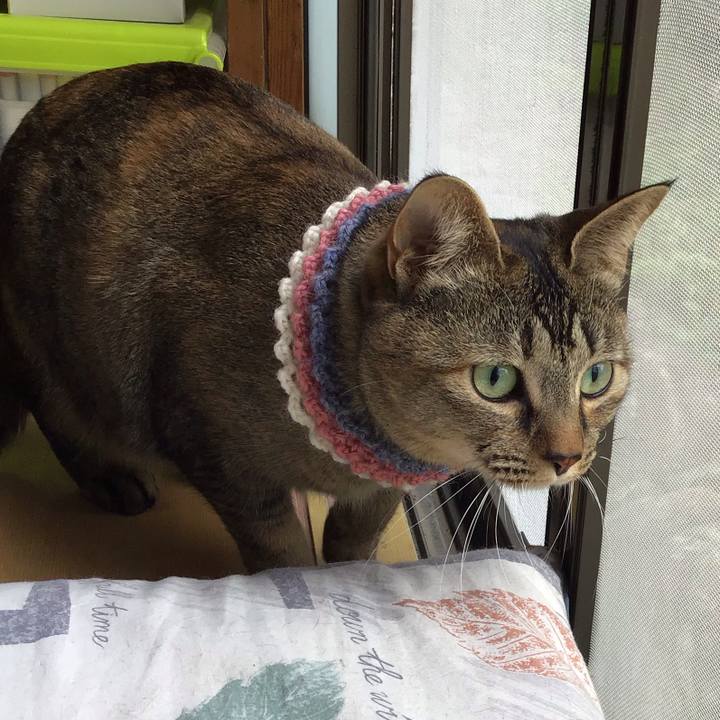 B57ecece ec5f 45e8 bf7d 3d2b0a3c151a 1617422814022