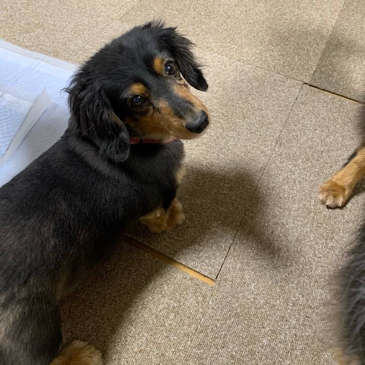 B57f42d1 ef35 4d41 b114 5229a6ce4e9c 1586383028696