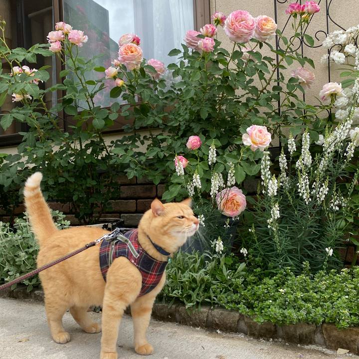 B57f4396 8037 4246 a7f2 105715302fb1 1685581211576