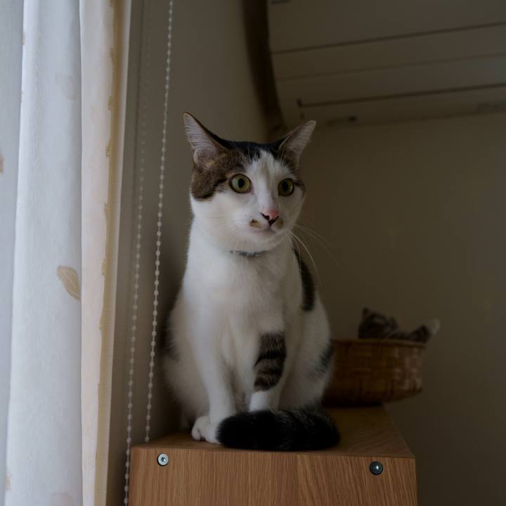 B57f4d18 28be 4e29 af4b 7ea0b25cc035 1543819559523