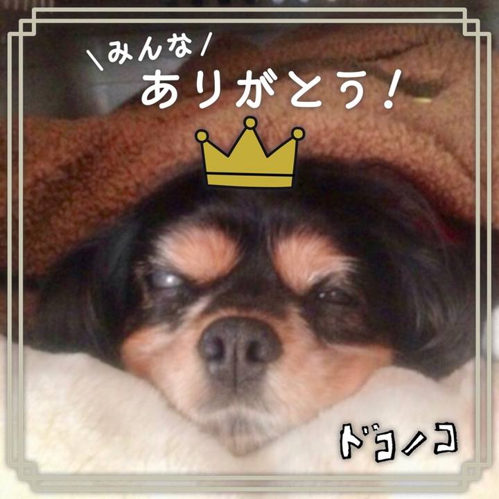 B57f7f48 c91a 49b3 8d1b 75d645fa3cf9 1622860163409