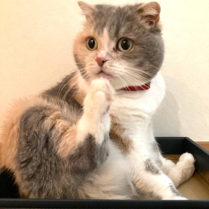 B57f83b5 9ccb 4352 948f 0ab78f69ac76 1679735481421