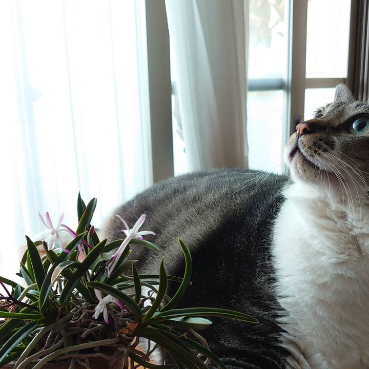 B57fe349 eb6f 405c b2c3 aa810f104f37 1628989006456