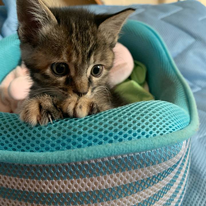 B5800122 1588 4901 ae96 ec858c6cf758 1589765385479