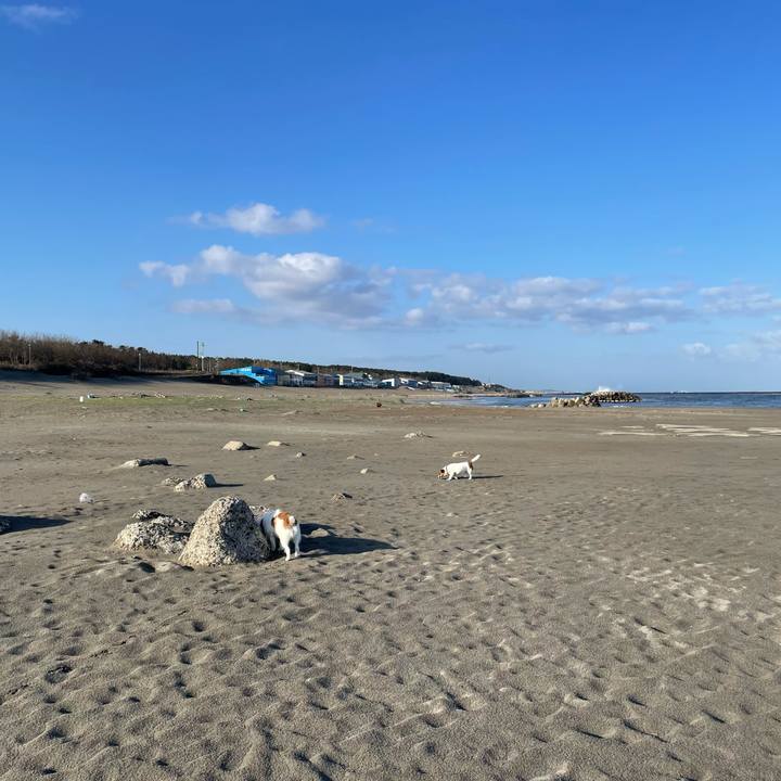 B580049a d684 49a5 a90f c9a7522f47d0 1712705892649