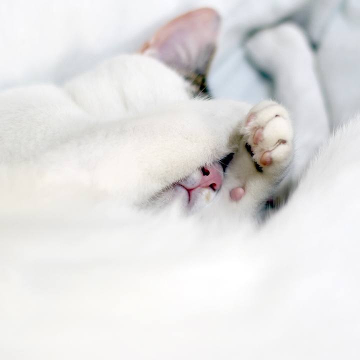 B580496d c4c2 484b acc0 86fe0bc10e2e 1591486983553