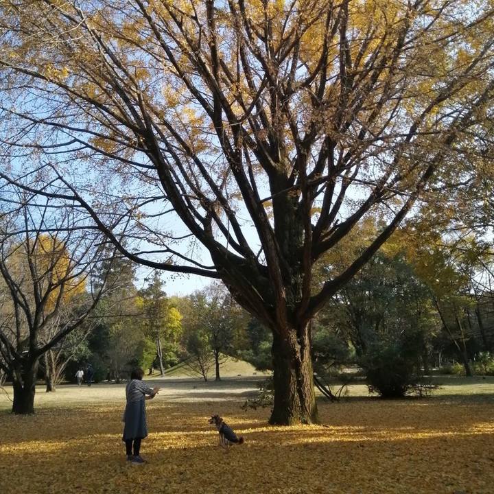 B580862b ae73 457a 98f1 87600d1f1f99 1637409384042