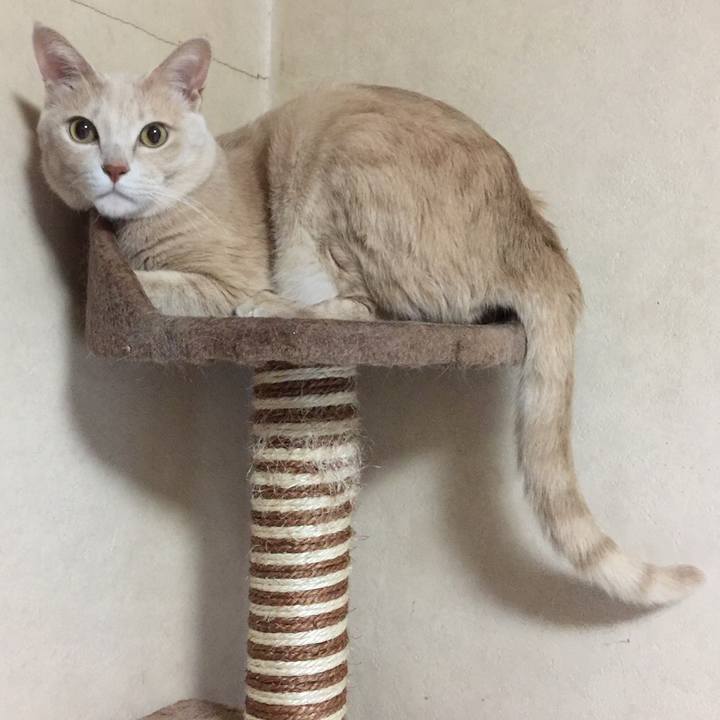 B580cb59 c587 43c9 a206 b8bf844f84c4 1568896887092