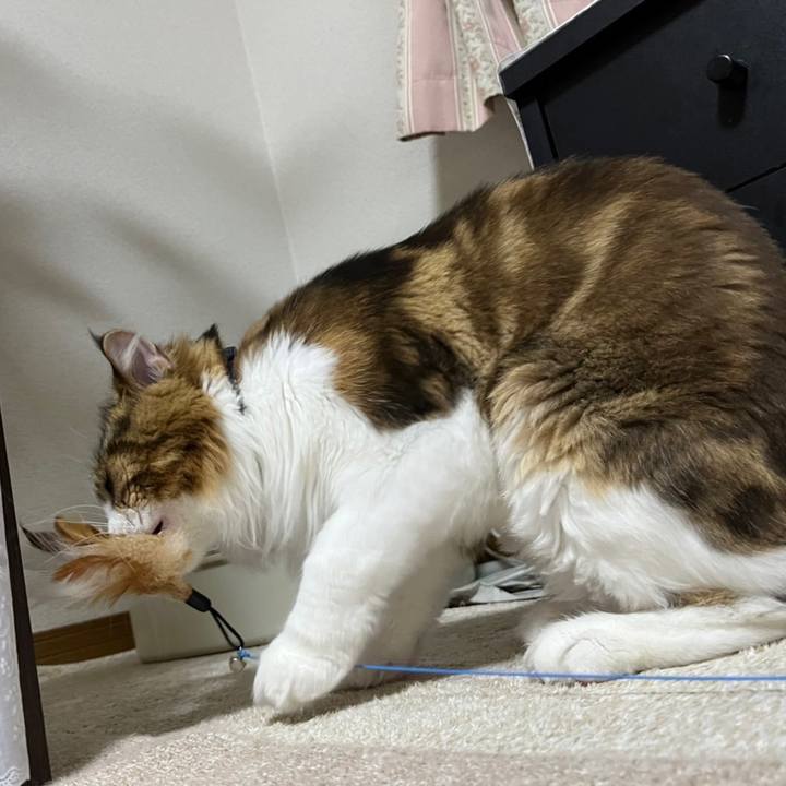 B5810540 59d3 49b9 9088 f1448af4549a 1662810275389