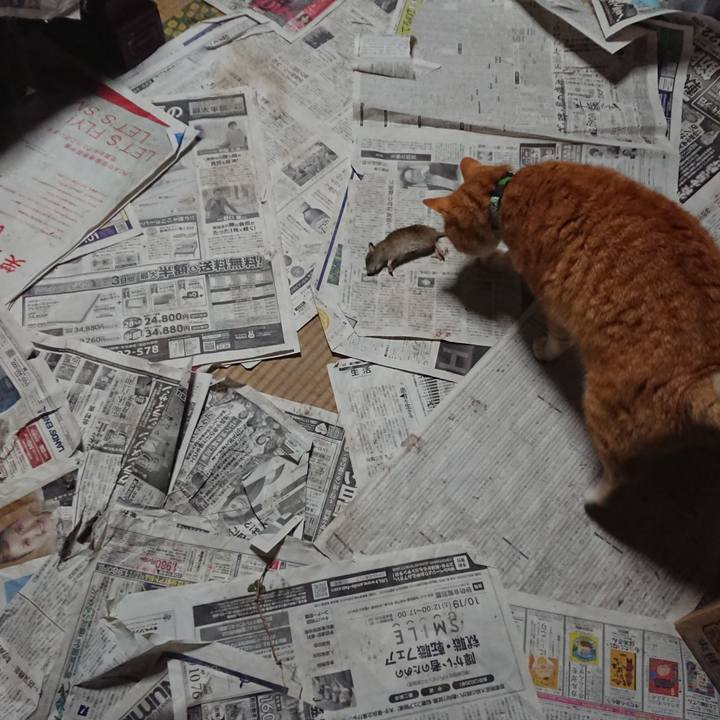 B5810fc7 46ff 4b52 83ee 55cd6884a4dd 1580213162518