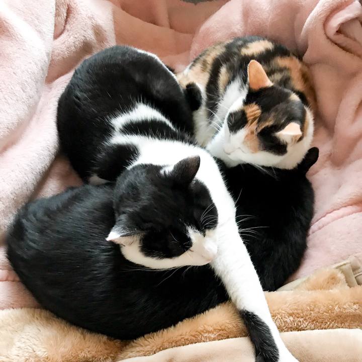 B58122da c26c 4961 b606 ee65c3ac6ba3 1511847290208