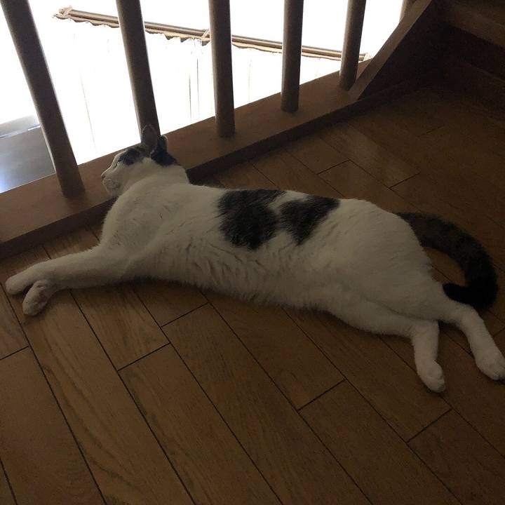 B5813c18 60b2 4c08 a017 a54a1b85ef50 1659372715776