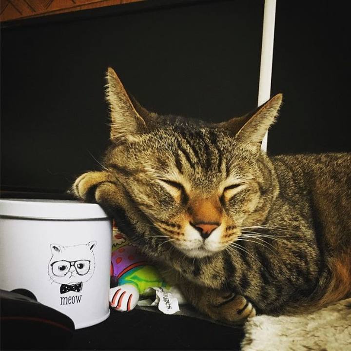 B5813df1 7e7e 48de 9a73 ae242893b8a5 1526326180077