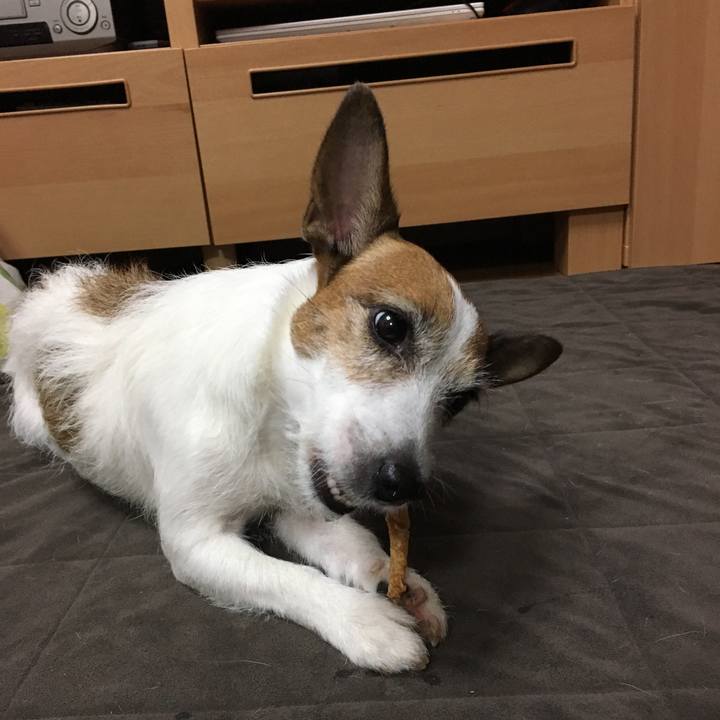 B5814c89 375b 45c6 80c6 e5dbff1eed25 1562556700622