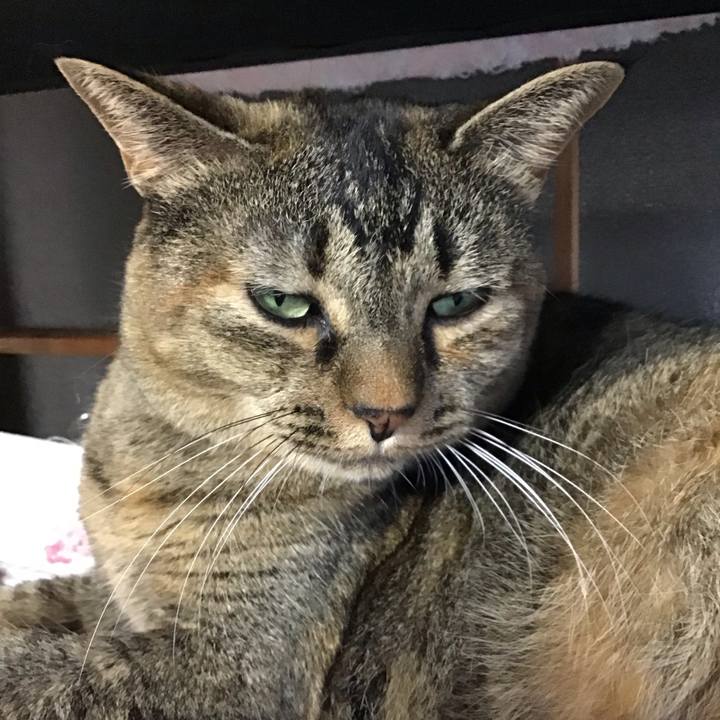 B581c22b 52f2 424e a6ea 3dc88ae66a74 1757322219279