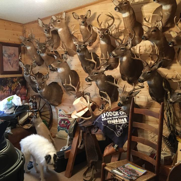 B581c55a a7a4 4c6d 9747 06ecaca7f3d2 1575410920081