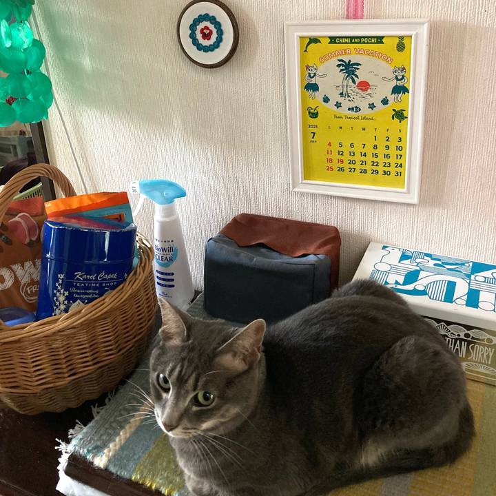 B581ceb4 afbb 4a8b 9e83 6856f445f702 1625823581309