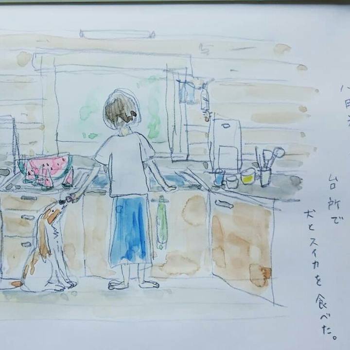 B581dc9f 4bf0 421b a50b 2fad34dc2bda 1565059587521