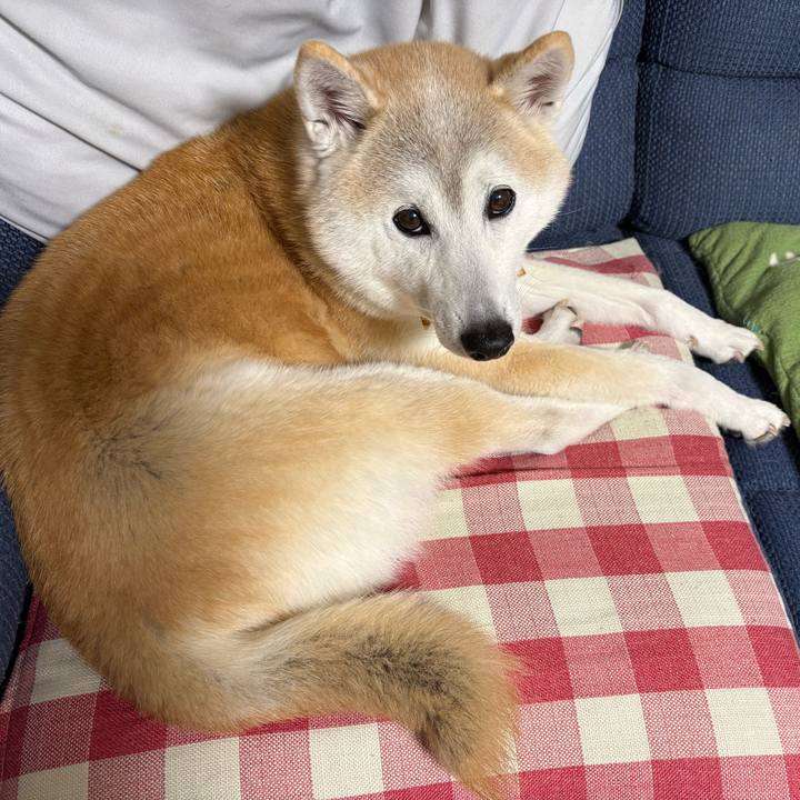 B581efee 2e6a 46d9 9e47 3130883266bd 1767092287372