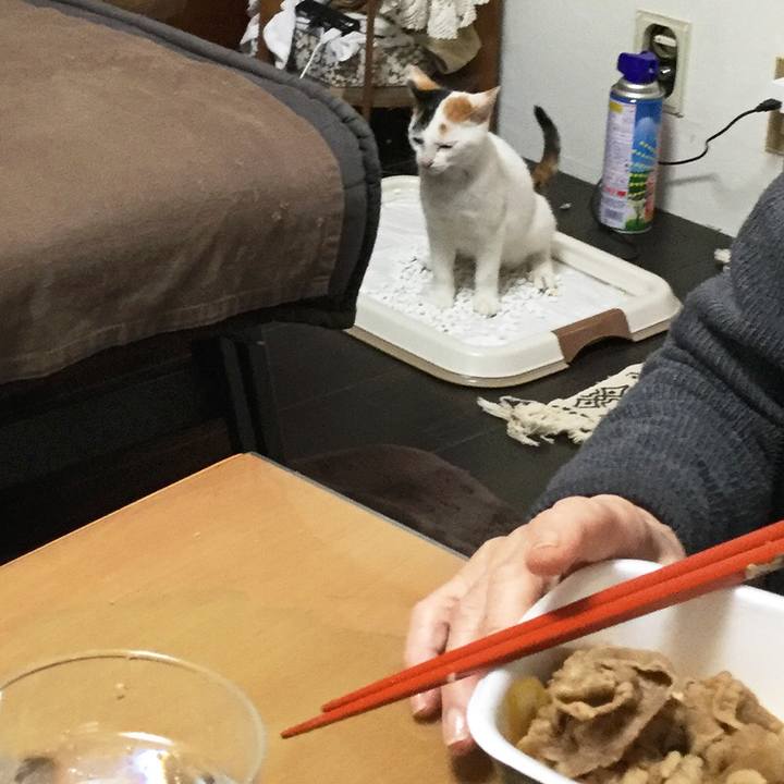 B5823635 8712 44d1 a2fa 040a2cf0db77 1541851361667