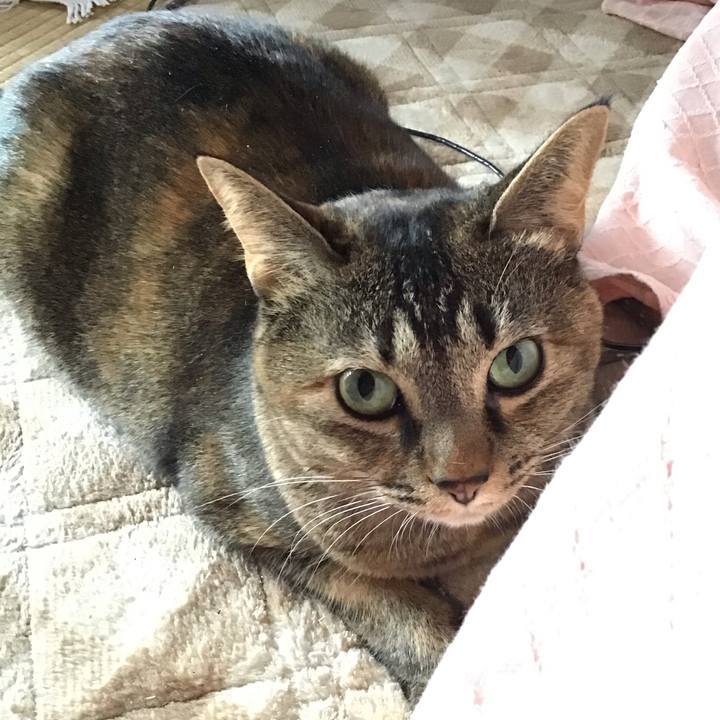 B58246ee 703f 4fba 9c0a eae4411041ce 1670201272215