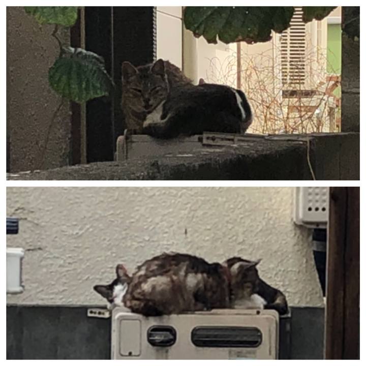 B582471a 567d 4ae4 a78b 3c5674da2faa 1553256544953