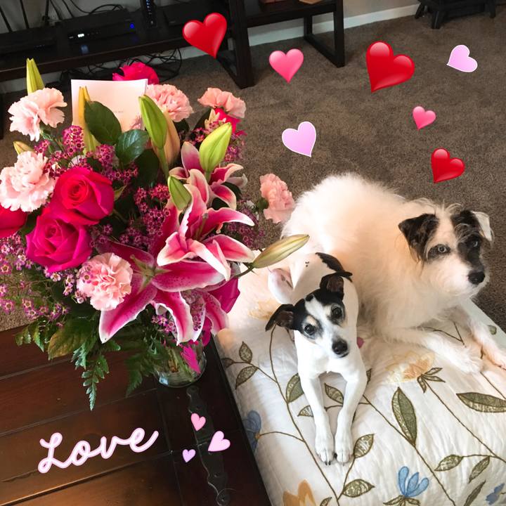 B5827d4e 42e5 4a3b 94f8 70ea5addad65 1518565265330