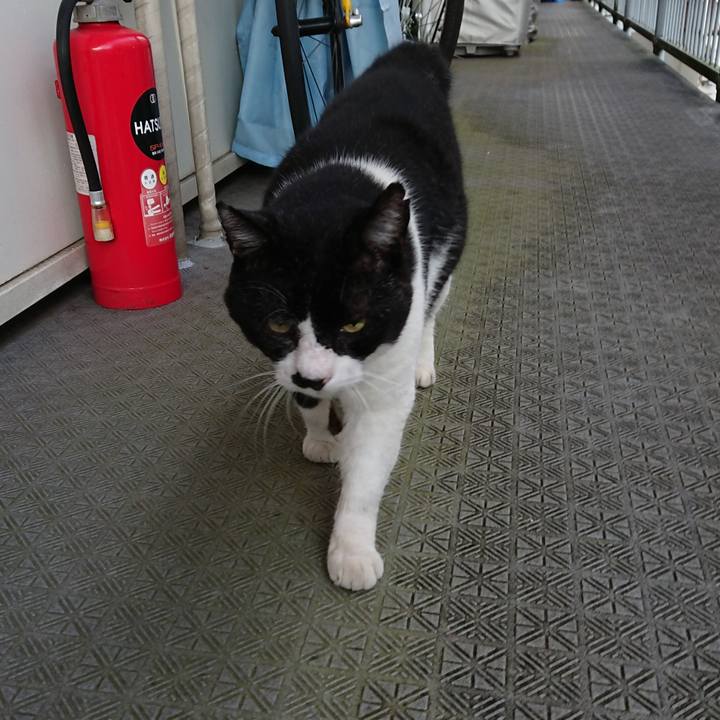 B582998b 6e87 4b93 8fa7 4c85a603e9a2 1663536300917