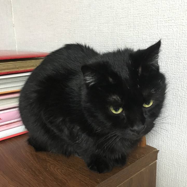 B582b31a 3260 48bc 9878 aa84d33a1fc2 1544349163665