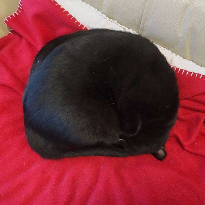 B582b542 aacf 4f7e bc07 52adc4e76282 1638956585754