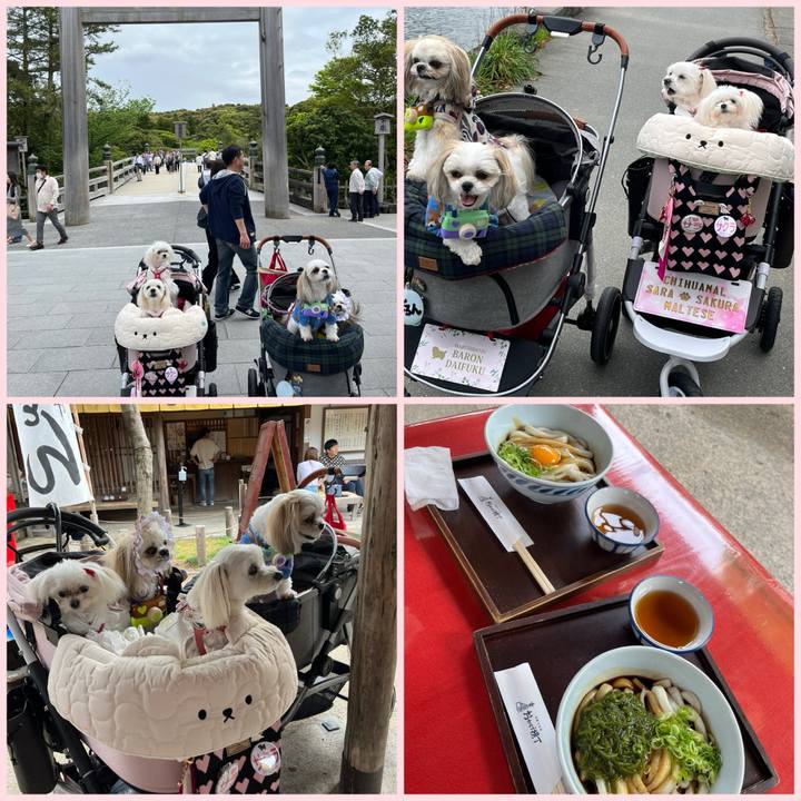 B582c02a 93b5 4987 a2e1 64d1c81ccf0e 1713779671778