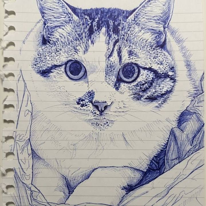 B582dd73 55dd 43bf 9fde 70600401c67c 1787739102625