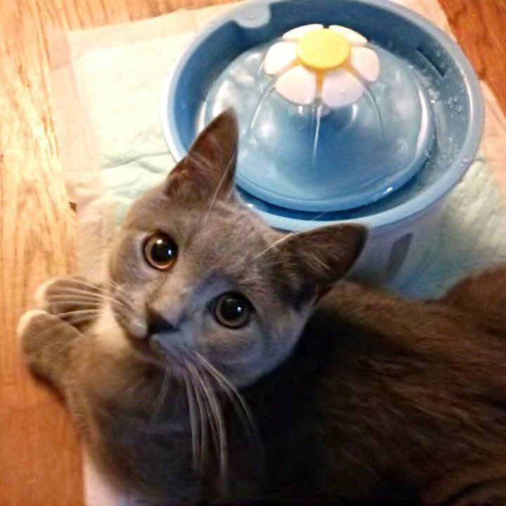 B582ef33 b165 4a99 aeb5 f7fb669a572c 1538180533740