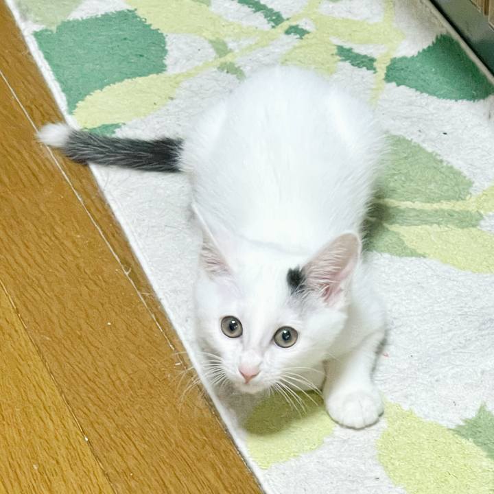 B5832cd0 cb37 465a 9cea be3f069ba1f3 1670128429454