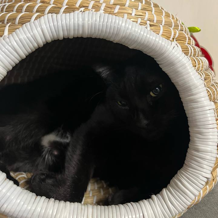 B583798f 4678 4a42 90bf da6b078b5061 1738677596619