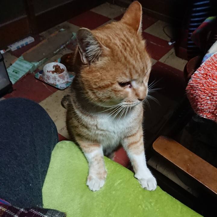 B58390de c1e5 4b00 947a 8684ee6b67a9 1579985605681