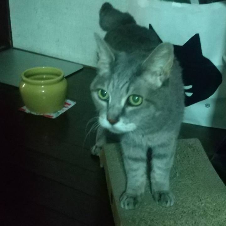 B583f7d1 8daa 48c1 9b80 bd71c2e6cef1 1695337548471