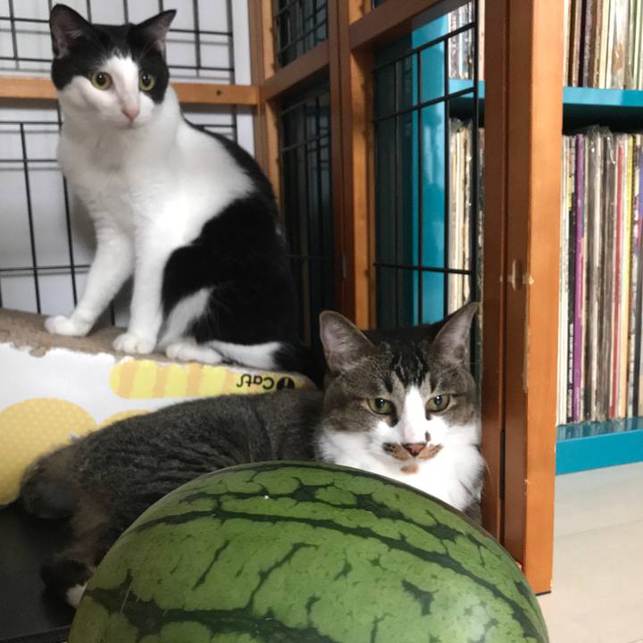 B584029a 715d 4bf6 855b cd37fc5bbce3 1530580575253