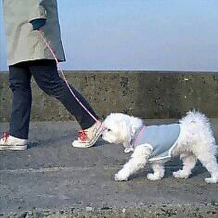 B584220c 64d4 4099 a171 fa4ab1a55e42 1684826690671