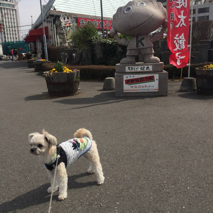 B5843ba1 590b 4af6 a4d1 117fb72ec835 1521871586621