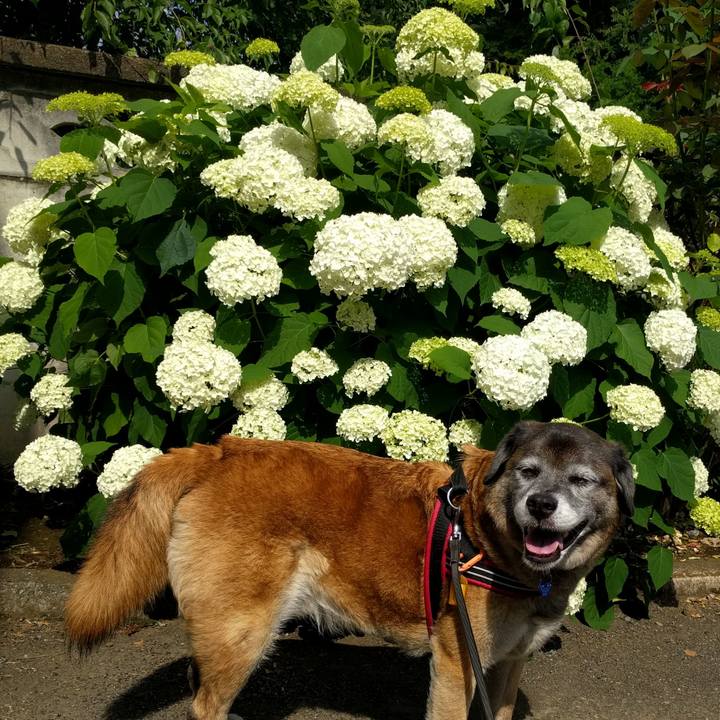 B584480d 5188 4f2c ae33 d71f289f2a74 1640133056028