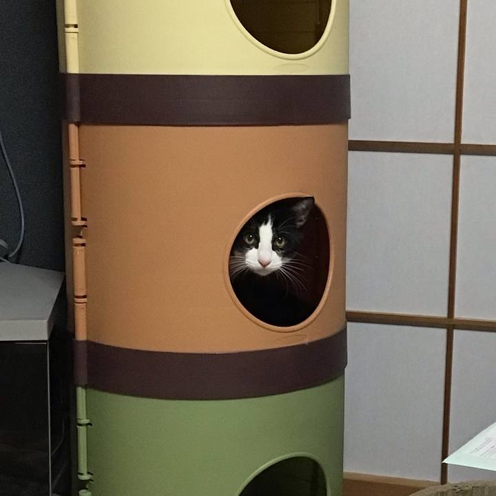 B5845367 0b9e 4e74 a381 a3396d09c9bd 1638787722634