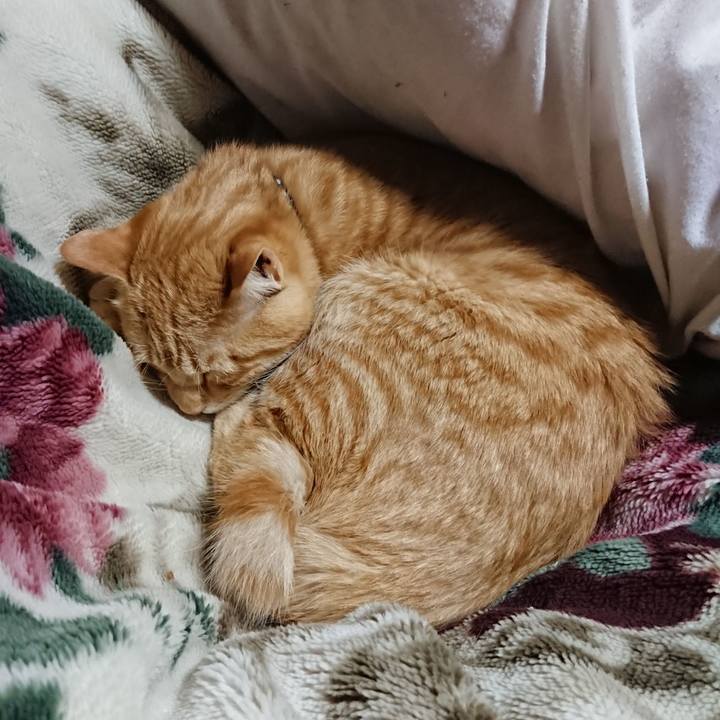 B58453fd 5041 4aa6 b372 351bf8b72842 1643805667697