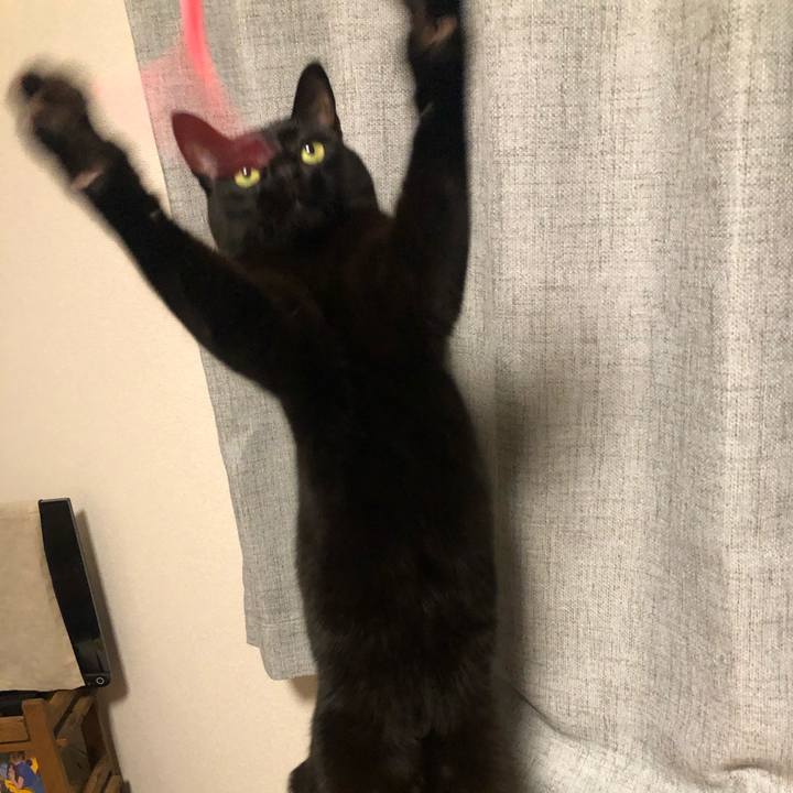 B58477ed 0ed6 4ae0 bf9c fd4555d3b558 1607246889821